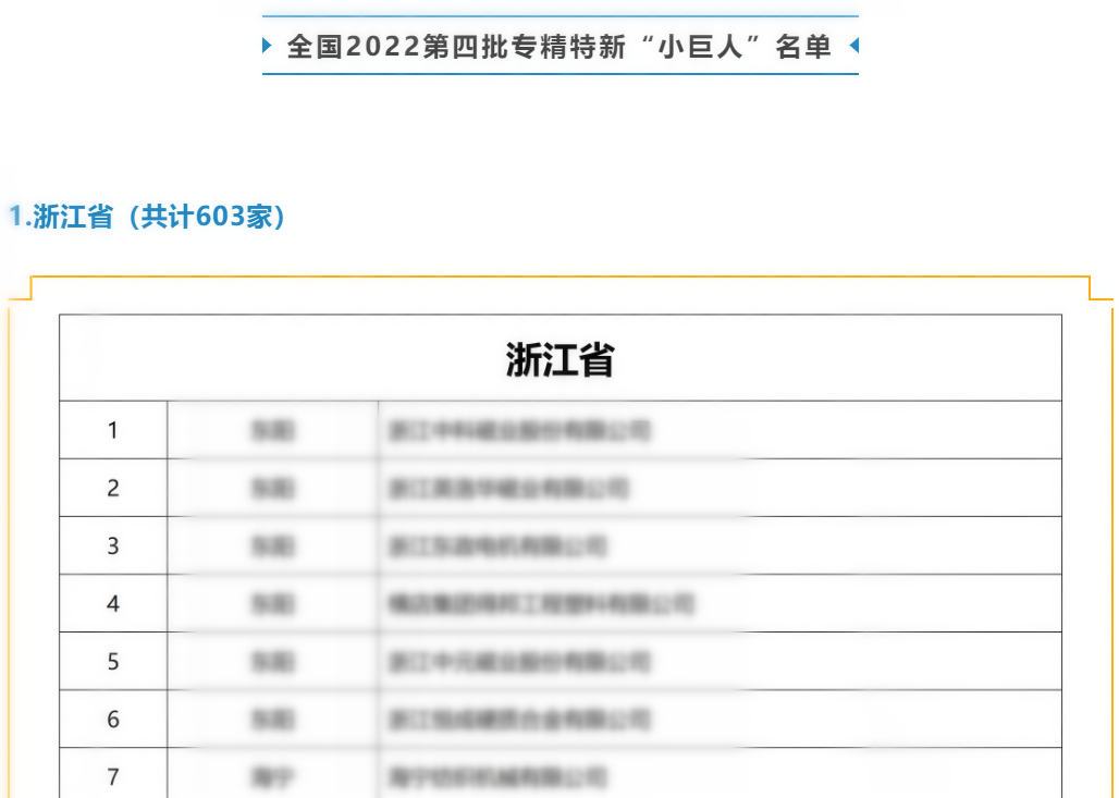 再获殊荣|浙江诺亚获评为国家级专精特新“小巨人”企业称号